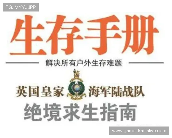 K8体育登录登录线路优化方案提升用户体验的详细指南