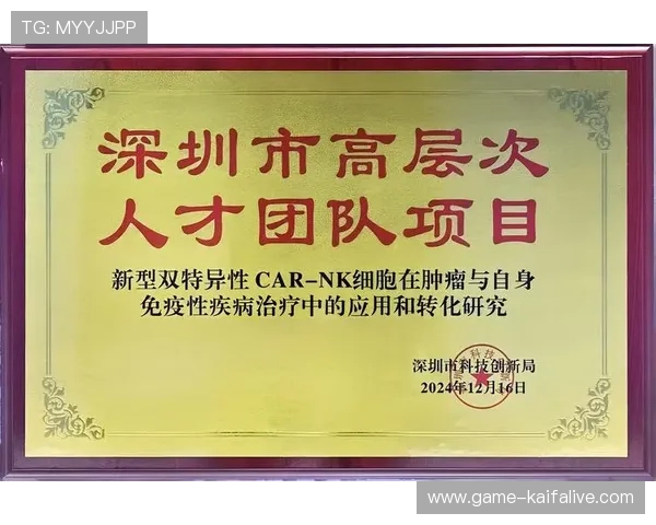 深入了解K8凯发官网平台的技术支持与系统稳定性保障措施
